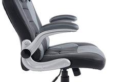 CTF High Back Racing Sport Swivel Chair with Adjustable Armrests & Headrest Cushion, Grey